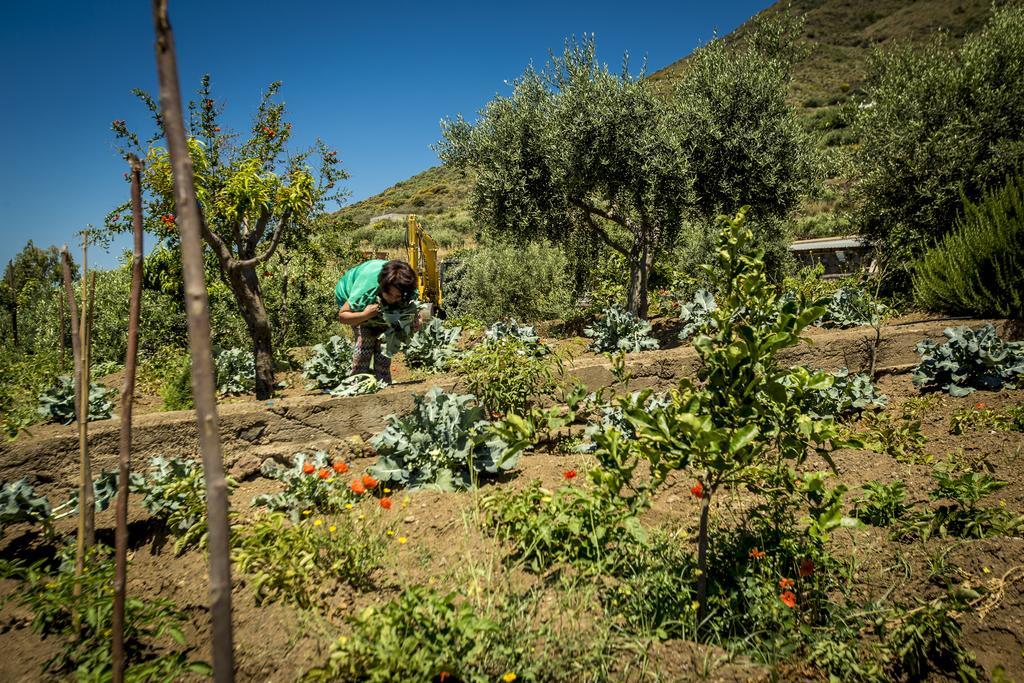 Resort Al Belvedere Salina Leni Εξωτερικό φωτογραφία